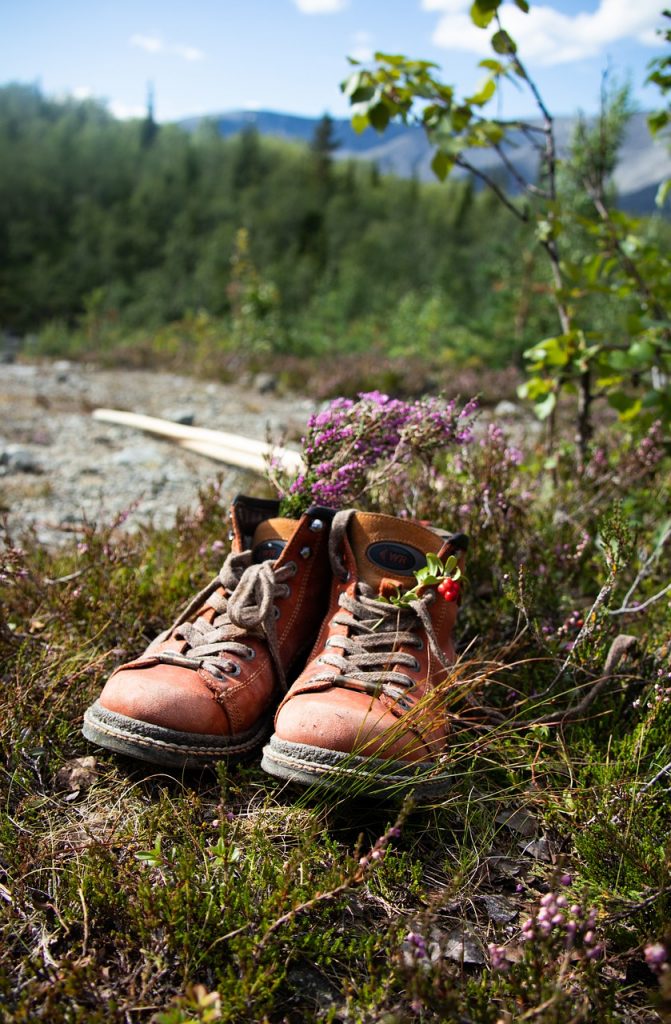boots, still life, flowers-6596161.jpg